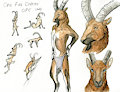 OFC Ibex Study