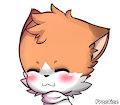 Practice-Small cat