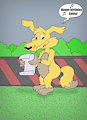 "Happy birhtday,Shifty!"