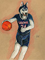 huskies