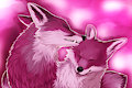 Fox PRIDE