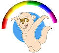 Rainbow Ferret