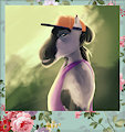 Horse boy photo
