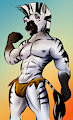 Zebra Dude