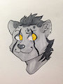 Sigma Headshot by BanBam by Sigma