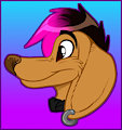 Doxie Headshot