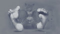 Fox Socks by DARKTHUR