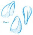 Ears!! (Practicing agian... Duh!) 