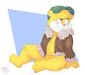 Dipper by Roarey Raccoon