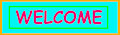 Welcome Icon