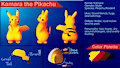 Kamara Reference Sheet (Commission for kamarapikachu)