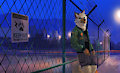 Night Lights - by Racoonwolf