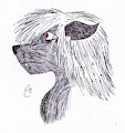 Yiharbin the Wolf (Colorized)