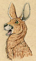 Roo Doodle