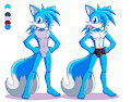 Commission 4 for Ryonryonryon by CaptRicoSakara