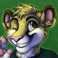 Cfz 17 Stuff - Badge by StarGazer