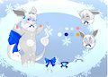 Adopt Auction : Shiny Eevee (CLOSED)