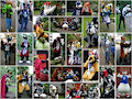 MancFurs Meetup Photos 10-06-2017