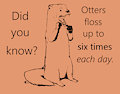 True Otter Fact™ by PunkinPirate