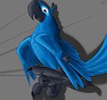 Blu and his talons by Fol