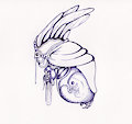Fetus by MuQ