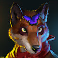 Koorivlf Icon