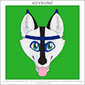 Keyrune Fursona Reference by scarmet