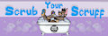 SYS Banner Design by TheHuntingWolf