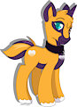 Donny Pony