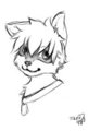 iron artist #5: raccoon so crazy