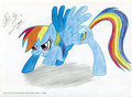 MLP: Rainbow Dash