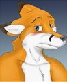 Shy lil Foxy