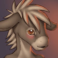 New icon