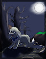 [Comm] "Wh-where am i?"