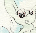 Motion of the Pony