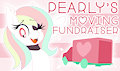 MOVING FUNDRAISER