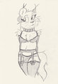 Crossdressing Caracal