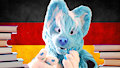 German classes with venmar 2#