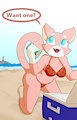 Summer Fun