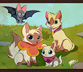 Sagwa the Chinese Siamese Cat