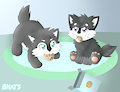 Kip and Navi feral version!