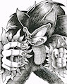 SONIC THE WEREHOG