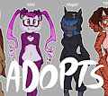 ADOPTABLE GIRLS
