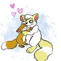 Hugs - SachiCoon