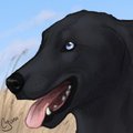 Commission - Chaos Icon