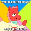 Zoidpony
