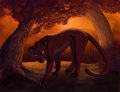 Fire in his Eyes by LostWolfSpirit