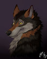 Anoxias Commission