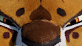 Eye of the Tigress