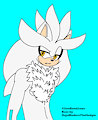 Three Sexy Hedgehogs